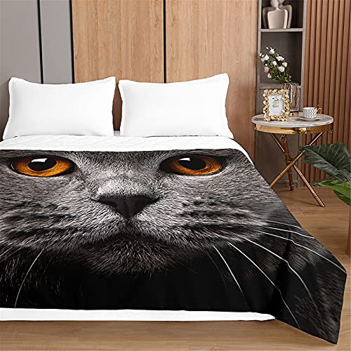 Oduo Tagesdecken Steppdecke Bettüberwurf für Doppelbett Einzelbett Kinder, Katzen Druck Bettdecke Stepp Decke Tagesdecke mit Präge Gesteppt Waschbare Wohndecke (Graues Kätzchen,220x240cm)