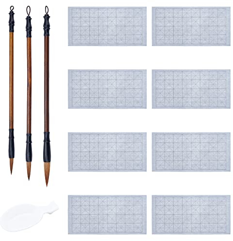 PH PandaHall 12-Teiliges Chinesisches Kalligrafie-Set, 8 stücke Wasser Schreibtuch Papier 3 Stile Traditionelle Kalligraphie Pinsel Wasserschale Für Anfänger Üben Japanische Sumi Zeichnung Malerei