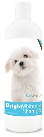 Healthy Breeds Maltese Bright Whitening Shampoo 12 oz, Pina Colada