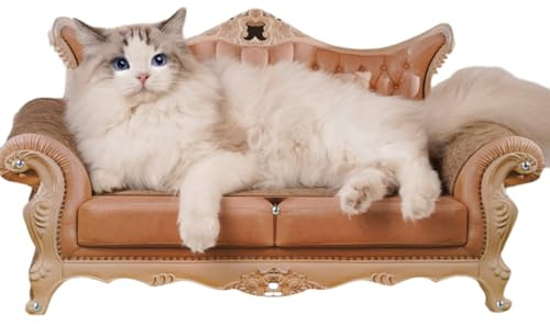 Annewi Katzenkratzcouch, Dicker Karton Katzencouch mit Katzenkratzpad, Katzensofa, Katzenkratzer für Indoor-Katzen, Kätzchen-Kratzliege für kleine, mittelgroße Katzen