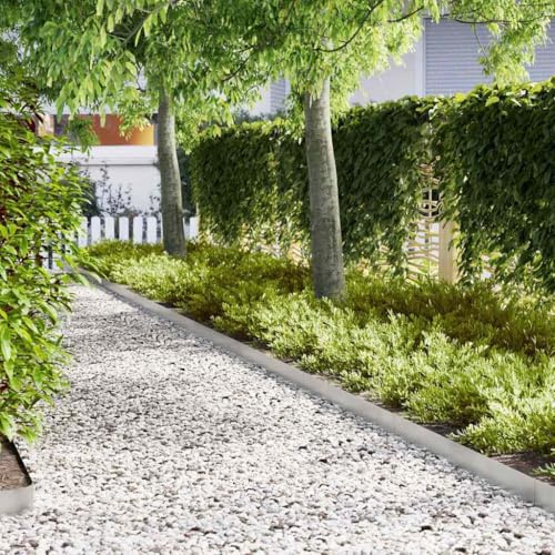 Lot de 20 bordures de parterre de fleurs - En acier inoxydable - Argenté - 100 x 0,05 x 15 cm - Pour cour et parterres de fleurs - Montage facile