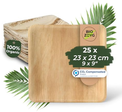 BIOZOYG Einwegteller 25 Stück 23x23 cm Palmblatt-Teller - Einweggeschirr kompostierbar - hochwertige Alternative für Bambus Teller und Pappteller - Partygeschirr