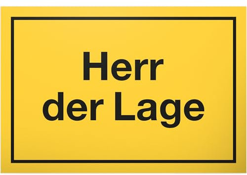 DankeDir! Mr. der Lage – Targa con scritta – Targa per porta divertente idea regalo per ufficio – articolo divertente regalo per colleghi di compleanno migliore amico