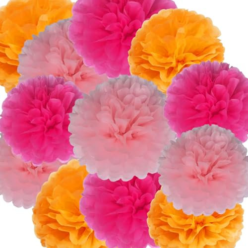 12pcs Tissue Paper Pom Poms Flowers Light Pink Rose Red Paper Flowers Ceiling Wall Hanging Decorations for Wedding,Birthday,Baby Shower,Party