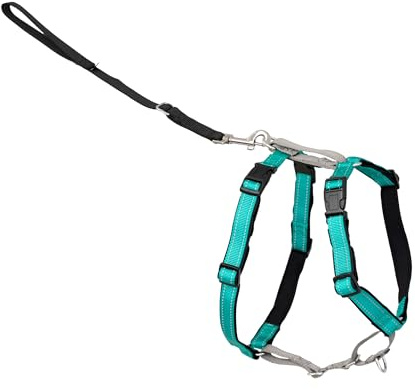 PetSafe 3-in-1 Harness - Comfortable Easy-Walk Dog Chest Harness with Front Leash Attachment to Reduce Pulling, Choking & Gagging - Dog Obedience Gear - Small - Teal