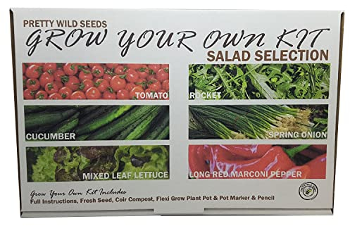 Salad Seed Grow Your Own Kit with Tomato Cucumber Spring Onion Marconi Pepper Rocket & Lettuce Seeds Perfect for Kids & Beginners Schools Gardening Clubs