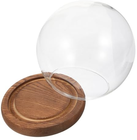 VICASKY Dôme en Verre Décoratif Ø12 Cm avec Socle Bois Vintage, Cloche à Plantes pour Micro-Paysage, Protection Anti-poussière pour Fleurs Préservées, Accessoire Jardinage et Terrariums