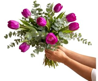FLORES SOLIDARIAS - Ramo De Tulipanes Naturales - Ramo De Flores - 20 Tulipanes Eucalipto Violeta - Ramos De Flores Naturales A Domicilio - Regalos San Valentin - Envio 24H
