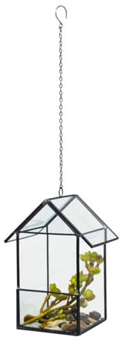 AKOOSY Glasblumenhaus mit Hängekettendesign aus Glas für Sukkulenten und Blumen im Wohn oder Bürobereich Stilvolles Langlebiges Pflanzenhaus in Hausform