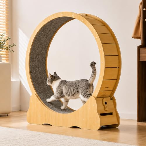 Katzenlaufrad XXL 135 cm für Große Katzen, Leises Katzenrad Indoor, Stabil & Kratzfest, Katzen Fitnessrad aus Holz mit Teppich, Laufband für Wohnungskatzen bis 20 kg