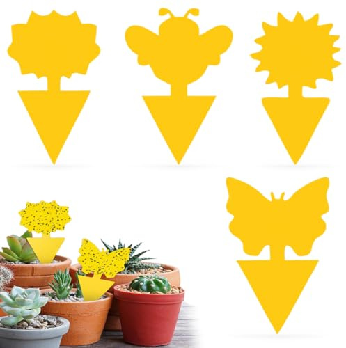 60 Stück Fliegenfalle Klebefalle, Fliegenfalle für Gelbsticker Zimmerpflanzen, Fruchtfliegenfalle Gegen Fliegenfalle für die Zimmerpflanzen, Fliegenfalle Blumentopf, für den Innen Außenbereich