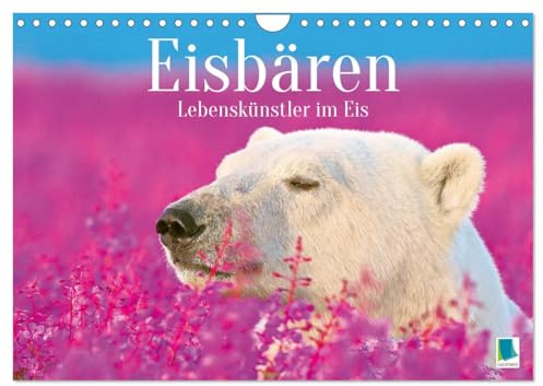 Eisbären: Lebenskünstler im Eis (Wandkalender 2026 DIN A4 quer), CALVENDO Monatskalender: Der Eisbär: Der König der Arktis (CALVENDO Tiere)