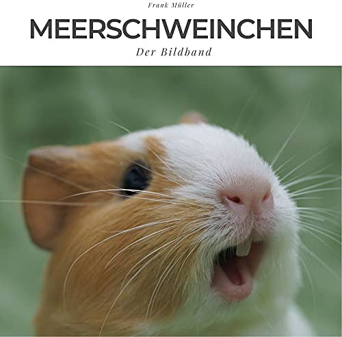 Meerschweinchen: Der Bildband