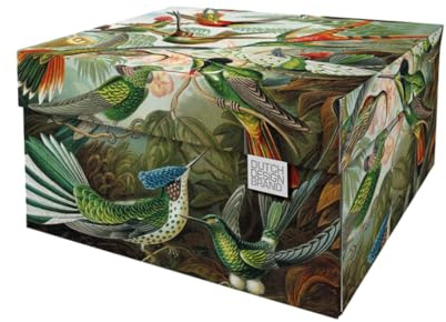 DDB Dutch Design Brand Aufbewahrungsbox Medium mit Deckel – 2 Aufbewahrungsboxen – FSC-zertifizierter, recycelbarer Karton (Größe: 33,2 x 24,2 x 16,5 cm) (Art of Nature)