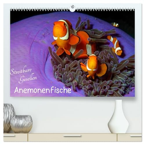 Anemonenfische - Streitbare Gesellen (hochwertiger Premium Wandkalender 2026 DIN A2 quer), Kunstdruck in Hochglanz: Quirlige Nemos - neugierig und mutig! (CALVENDO Tiere)