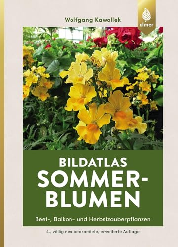 Sommerblumen: Beet-, Balkon- und Herbstzauberpflanzen (Bildatlanten)