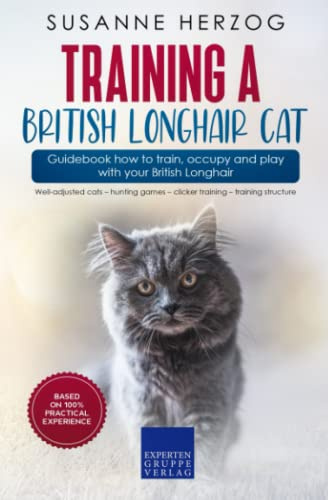 Training a British Longhair Cat – Guidebook how to train, occupy and play with your British Longhair: Well-adjusted cats – hunting games – clicker training – training structure