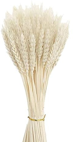 Niooce 100 Stück Weizen getrocknet Natürliche getrocknete Weizenähren, Für Blumenstrauß Requisiten, Heim- Oder Partydekorationen 40cm，weiß