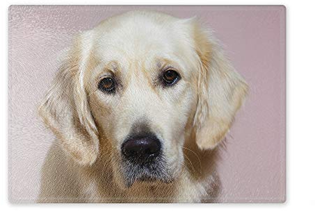 Schneidebrett/Glasschneidebrett 30x39x0,4cm- Motiv: Golden Retriever Porträt | 03