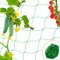 Red de Enrejado Jardin 2 * 8M Red para Plantas Trepadoras de Nylon para Tomates Pepino Guisantes Hortalizas Frutas
