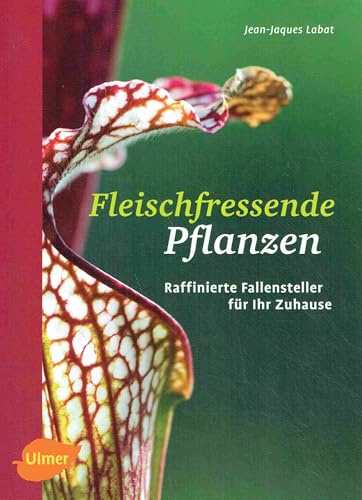 Fleischfressende Pflanzen: Raffinierte Fallensteller für Ihr Zuhause