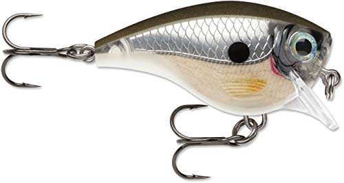 Rapala - BX Brat Angelköder - Angelzubehör aus Balsaholz - Süßwasser Spinnköder - Friedfische und Raubfische - Lauftiefe 1.8m - Fischköder 5cm, 10g - Hergestellt in Estland - Pearl Grey Shiner