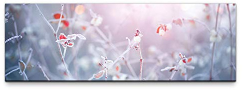 Eau Zone Leinwandbild auf Echtholzrahmen Winter Natur Hintergrund 150x50cm