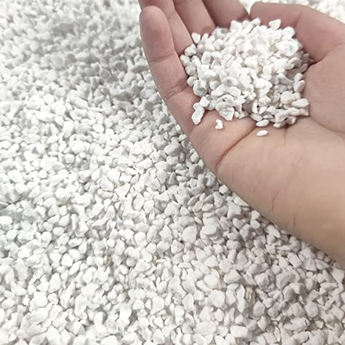 10 QT Bio-Perlite für den Gartenbau (10 QT, Perlit)
