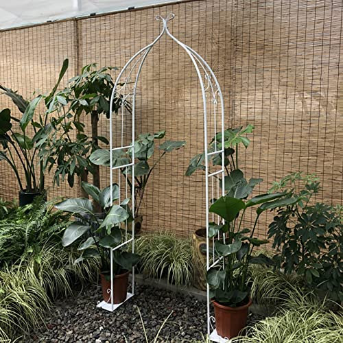 CGCSYZ Pergola-Laube, Gartenbogen, Hochzeit, Metall, Hintergrundständer für den Innen- und Außenbereich, geeignet für den Garten, Verschiedene Kletterpflanzen, Wein(Weiß-80cm