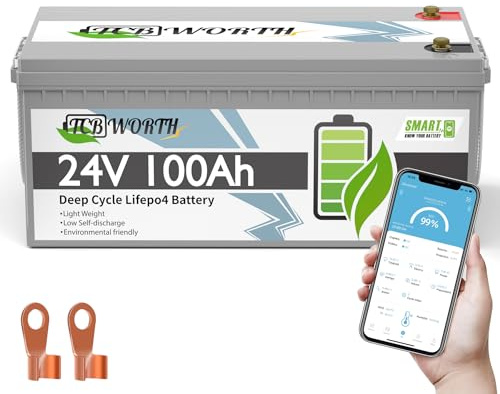 TCBWORTH LiFePO4 100Ah Bluetooth 24V Batterie, lithium batterie 100A BMS, 4000-15000 Zyklen Deep Cycle akku, Perfekter Ersatz für Blei-Säure Batterien für wohnmobil, Camping, Solar Home Systeme, Boot
