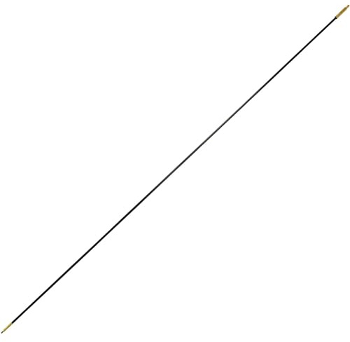 BALLISTOL