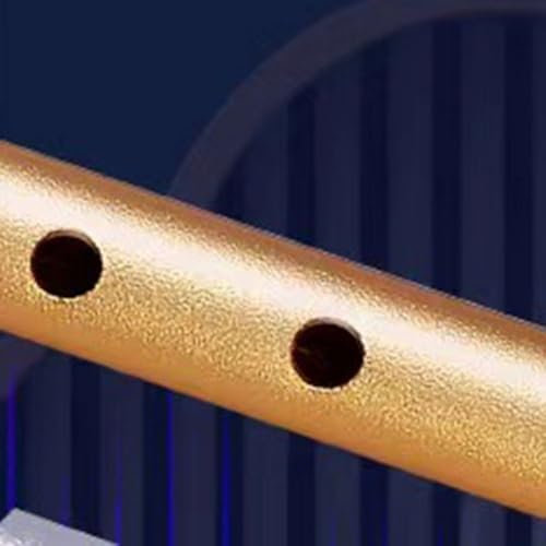 Explore Melodien mit 6 Löchern Irish Flöte C/D Key Tin Whistle für Anfänger und Experten gleichermaßen (A)