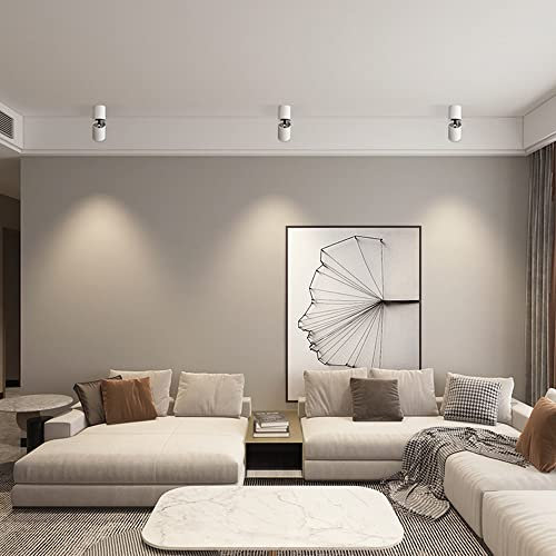 Spotlight a LED Regolabile Spot Spot Light Interno 90 °+360 ° Lampada di Rotazione, Spotlight Direzionale Lampade di Accento, soffitto in Alluminio/luci giurate murali