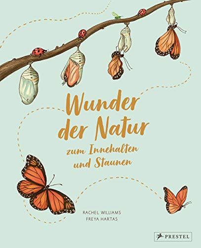 Wunder der Natur zum Innehalten und Staunen: 50 kleine Geschichten über alltägliche Naturereignisse (Wunder der Natur-Reihe, Band 1)