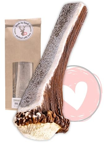 FOURLEGS® natürlicher Kauspaß für Hunde aus 100% Hirschgeweih - Mineralstoffe, Kauspielzeug, Kaustange, Wildgeschmack, Geweih, Knochen, Hirsch, Kauartikel - Größe XXL halbiert