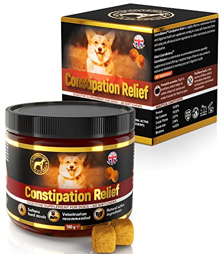 GastroBalance linderung verstopfung beim Hund – 60 weichen kausnacks abführmittel für Hunde 100% natürliche Wirkstoffe (Bacon-Geschmack)