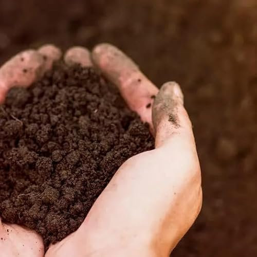 Sustrato Universal Plantas Interior y Exterior 20 Litros Suelo Fertilizado