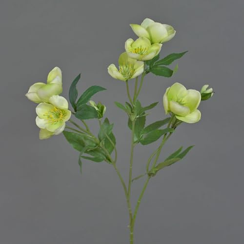 artplants.de Kunstblumen Zweig Christrosen ANYALA, grün-weiß, 50cm | Künstlicher Deko Zweig