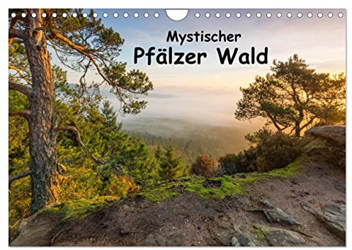 Mystischer Pfälzer Wald (Wandkalender 2026 DIN A4 quer), CALVENDO Monatskalender: Der Pfälzer Wald im Licht (CALVENDO Natur)