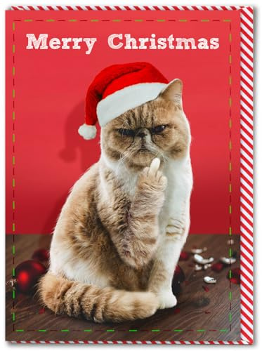 Brainbox Candy Lustige Weihnachtskarte – Merry Christmas Cat Finger – freche Weihnachtskarten – für Freunde, Familie und Kollegen – lustige Weihnachtskarte mit Katzenmotiv – 120 mm x 170 mm –