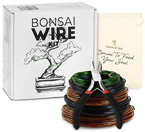Bonsai Wire Kit 160ft with Cutter & Canvas Bag| 5 Rolls Aluminum Bonsai Training Wire Set for Tree Shaping| Bonsai Tools, Plant Training Wire, Bonsai Starter Kit Supplies for Beginners & Professionals