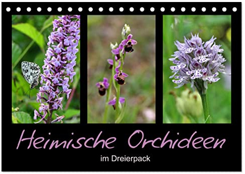 Heimische Orchideen im Dreierpack (Tischkalender 2026 DIN A5 quer), CALVENDO Monatskalender: Zart, zierlich, zauberhaft (CALVENDO Natur)