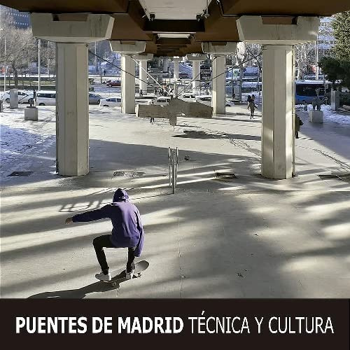 Puentes de Madrid : técnica y cultura