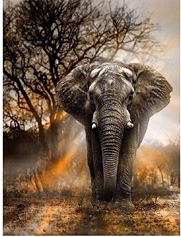 TWYYDP Puzzel Für Erwachsene 1000 Teile Elefant Im Tierwald Wohnkultur Gemälde, Plakate
