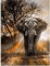 TWYYDP Puzzel Für Erwachsene 1000 Teile Elefant Im Tierwald Wohnkultur Gemälde, Plakate