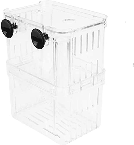 CENPEK 2 st fiskuppfödare låda kläckning inkubator isoleringsbox självlysande transparent för guppies baby fisk kläckeri tank