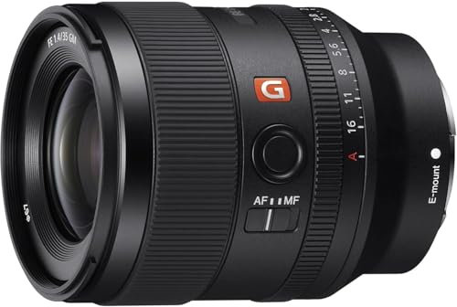Sony SEL35F14GM - Full-Frame Lens FE 35mm F1.4 GM - Premium G Master Series prime lens