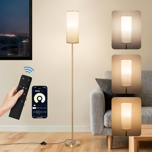 CRLL Lampadaire Sur Pied Salon: Lampe Sur Pied avec Télécommande& Contrôle par APP, Lampe Dimmable avec une Ampoule,3 Températures de Couleur, Luminaires Intérieur pour Chambre, Lecture, Bureau