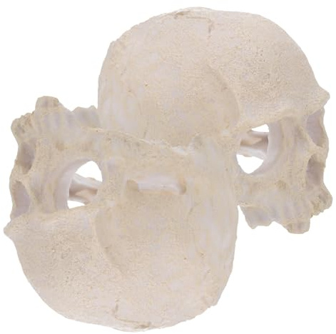 Hohopeti 2 Stück Teiliges Aquarium Totenkopf Ornament aus Stabilem Harz Halloween Deko mit Einzigartigem Skelettdesign Fischversteckendes Versteck für Fisch Garnelenbecken Langlebige