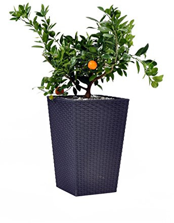 Keter- Maceta Mediana ratán, Base Cuadrada; 100% Material Reciclado;38 x 38 x 57 cm ; Capacidad 55L; Color Gris Grafito